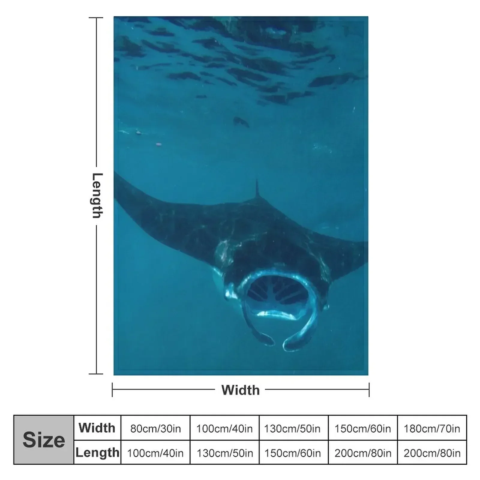Curious Manta Ray At Crystal B - 3D Printing Bali review and price