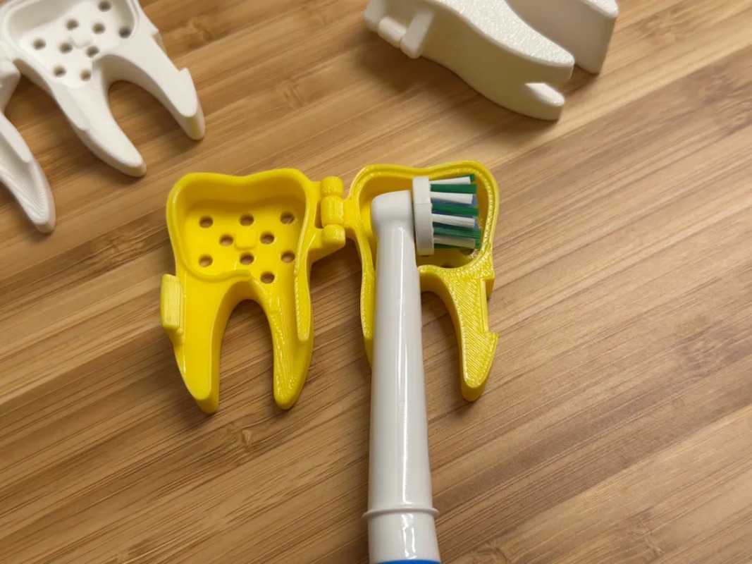 3D Printed Cute Tooth Shaped P - 3D Printing Tooth review and price