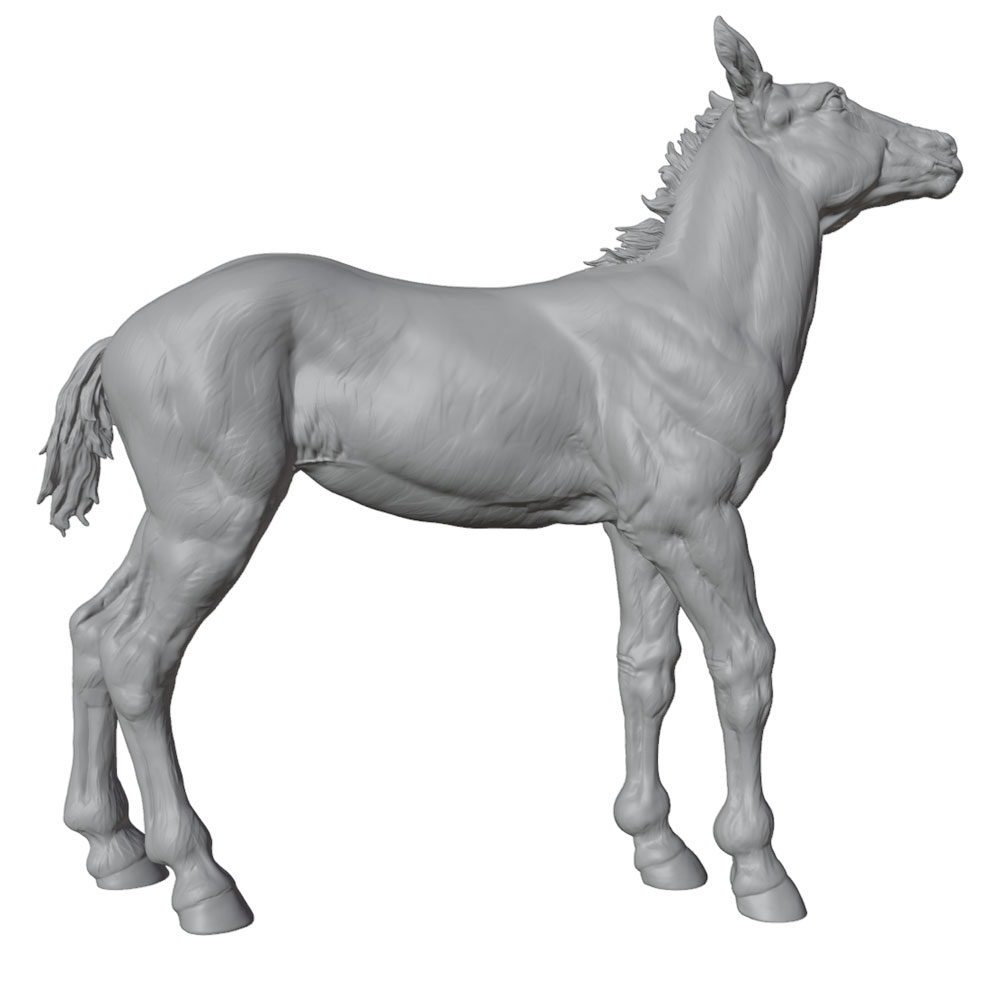 High-Detail Printing, Realisti - 3D Printing And Additive Manufacturing review and price