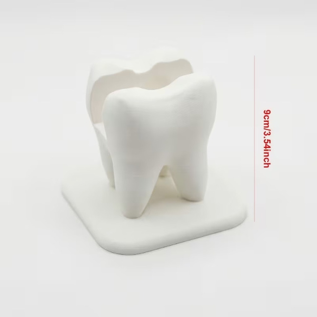 3d Printed White Tooth Shaped  - 3D Printing Tooth review and price