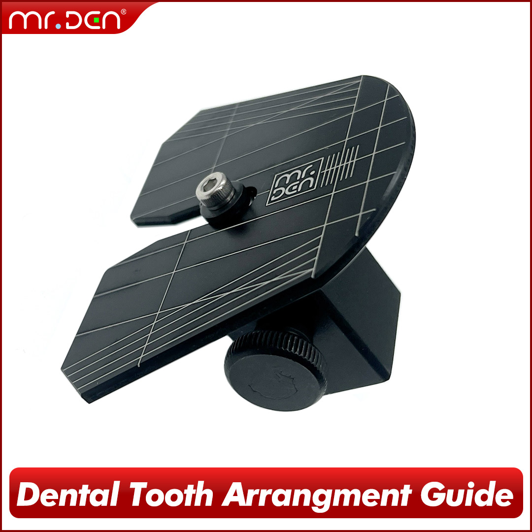 2026 MR DEN Dental Digital Too - 3D Printing Tooth review and price