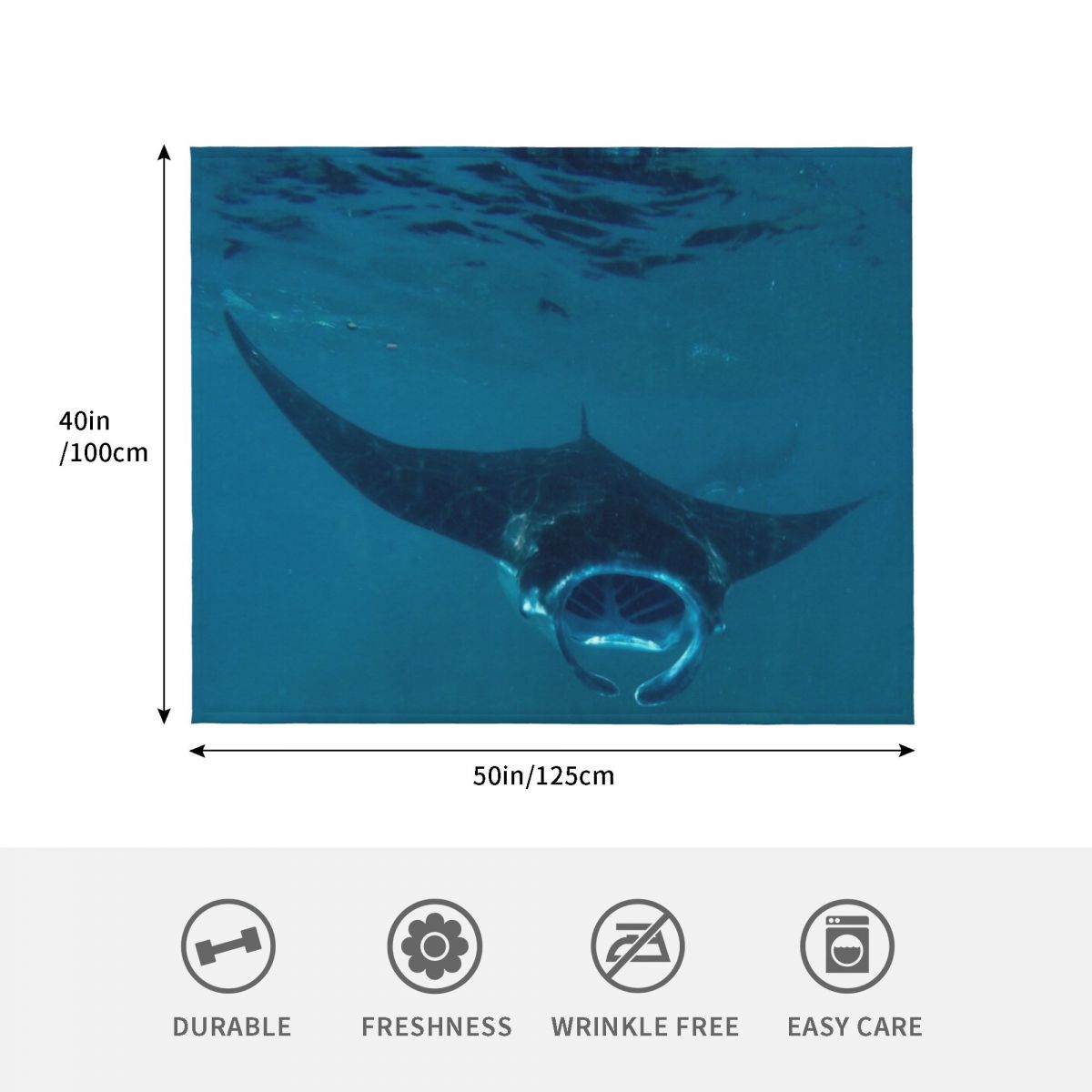 Curious Manta Ray At Crystal B - 3D Printing Bali review and price