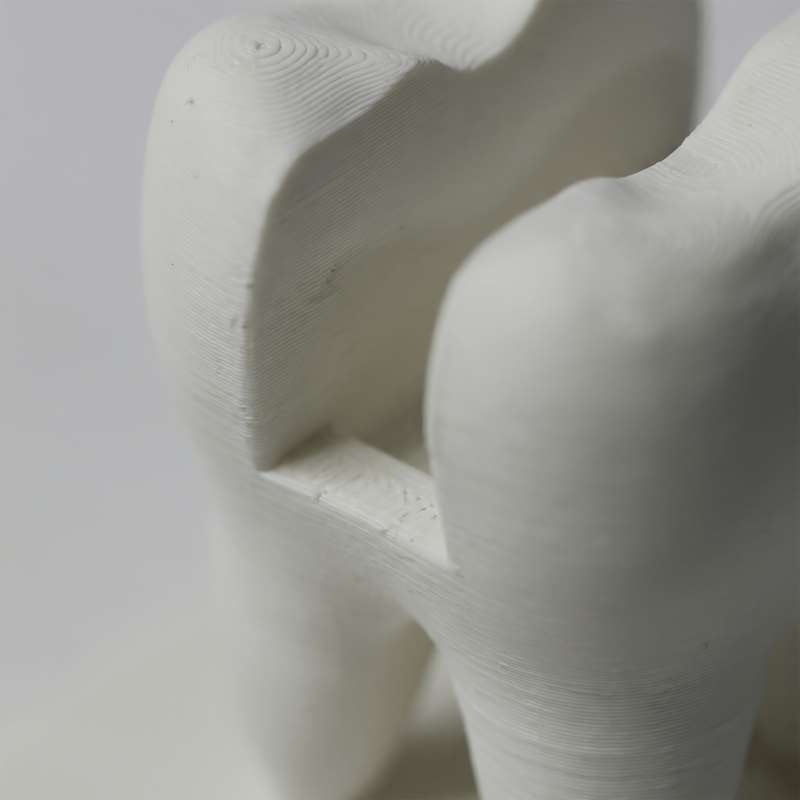 3D Printed Tooth Shaped Busine - 3D Printing Tooth review and price